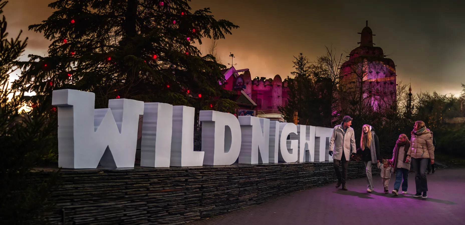 WildNights
